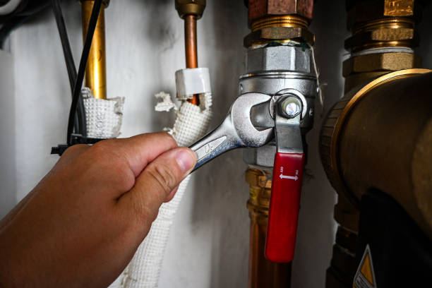 Best Clogged Drain Plumber  in Lochbuie, CO